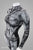 Figure-Enhancing Women's Gargoyle Style 4 Bodysuit - Cosplay | Athletics | Performance