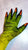 Species Gloves | Alien | Dragon | Convertible-Fingerless Gloves