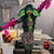 Women's Alien Species Costume Catsuit