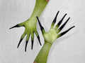 Long finger costume gloves, green alien skin print with black claw tips