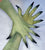 A pair of tight printed fabric gloves with fingers spred. The printed fabric looks like real, but green skin that fade to extented black finger tips.