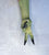A single long green glove or sleeve worn on a hand, shown against a light textured background. The glove is olive green with two black-tipped fingers in an upside down peace sign. Palm  up