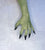 A printed green skin long worn on a hand, with black-tipped claws or fingernails, photographed against a pale textured background.