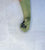 A single long green glove on a hand, shown in a fisted grip against a light textured background. The glove is olive green. 
