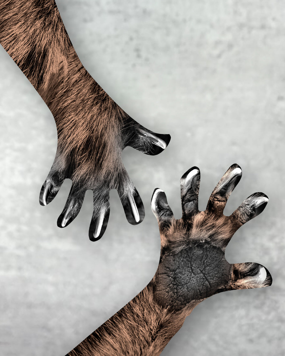 Faux Fur Costume Unisex Gloves – 4 Colors