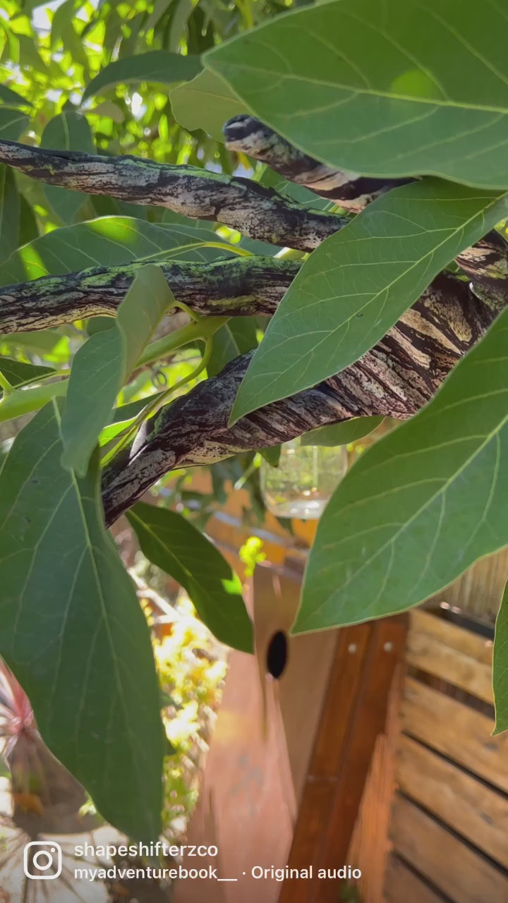 Women's Moss Tree Costume Catsuit – High Collar, Back Zip