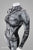 Figure-Enhancing Women's Gargoyle Style 1 Bodysuit - Cosplay | Athletics | Performance